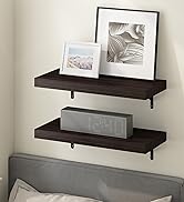 Furinno Basic Coffee Table, 2-Tier Modern Coffee Table with Open Shelf, Easy Assembly Side Table, for Living Room, Bedroom, Home Office, Amber Oak